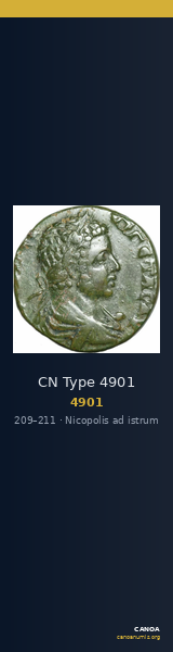 CN Type 4901 — CANOA