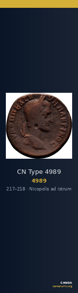 CN Type 4989 — CANOA