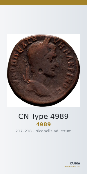 CN Type 4989 — CANOA