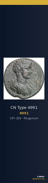 CN Type 4991 — CANOA