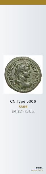 CN Type 5306 — CANOA