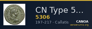 CN Type 5306 — CANOA