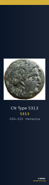 CN Type 5313 — CANOA