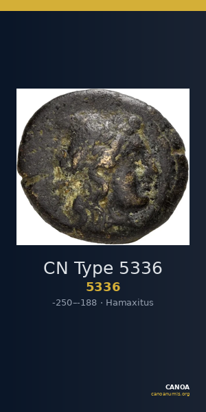 CN Type 5336 — CANOA