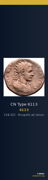 CN Type 6113 — CANOA