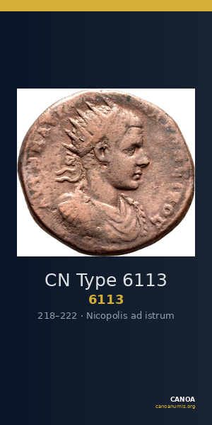 CN Type 6113 — CANOA