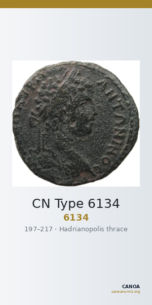 CN Type 6134 — CANOA