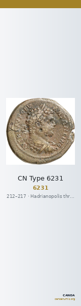 CN Type 6231 — CANOA