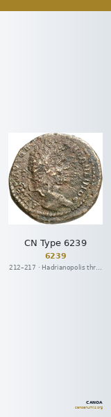 CN Type 6239 — CANOA