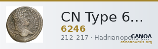 CN Type 6246 — CANOA