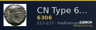 CN Type 6306 — CANOA