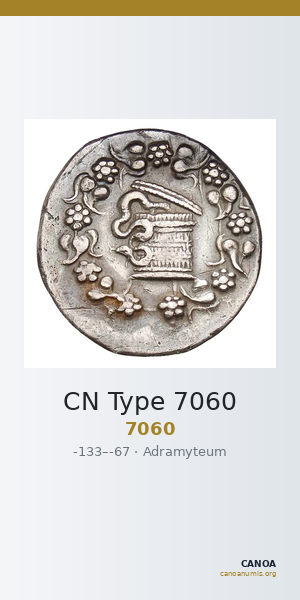 CN Type 7060 — CANOA