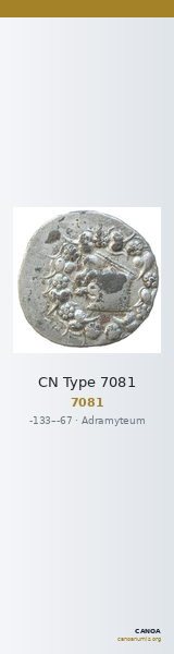 CN Type 7081 — CANOA