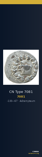 CN Type 7081 — CANOA