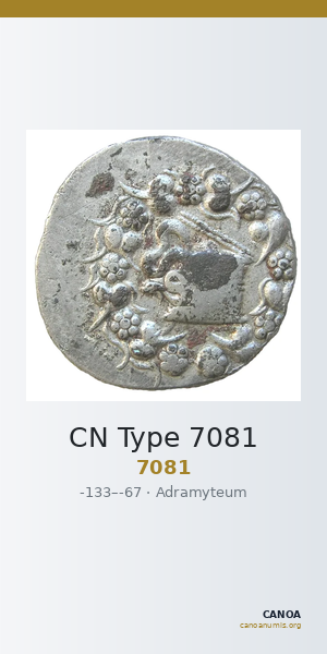 CN Type 7081 — CANOA