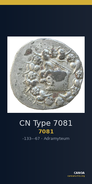 CN Type 7081 — CANOA