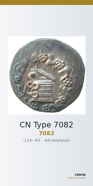 CN Type 7082 — CANOA