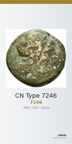 CN Type 7246 — CANOA
