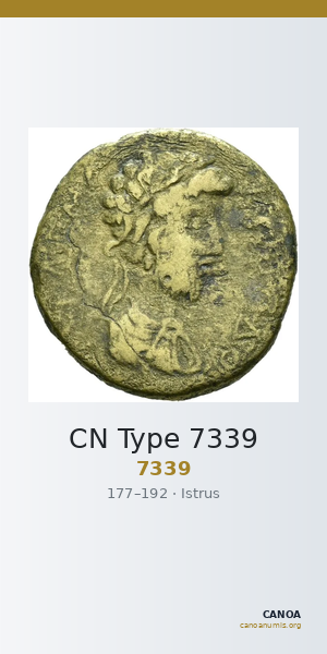 CN Type 7339 — CANOA