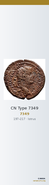 CN Type 7349 — CANOA