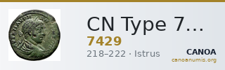 CN Type 7429 — CANOA