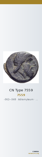 CN Type 7559 — CANOA