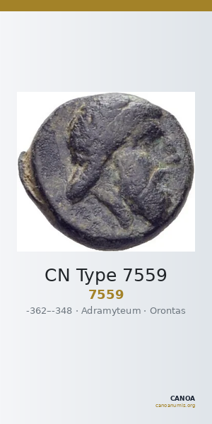 CN Type 7559 — CANOA