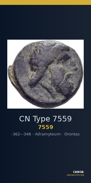 CN Type 7559 — CANOA