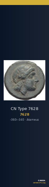 CN Type 7628 — CANOA