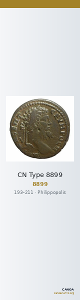 CN Type 8899 — CANOA