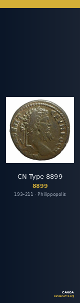 CN Type 8899 — CANOA