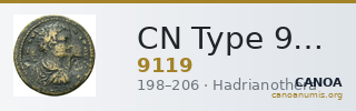 CN Type 9119 — CANOA