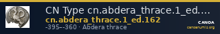 CN Type cn.abdera_thrace.1_ed.162 — CANOA