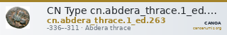 CN Type cn.abdera_thrace.1_ed.263 — CANOA