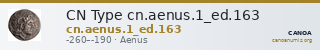 CN Type cn.aenus.1_ed.163 — CANOA
