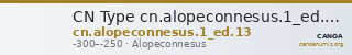 CN Type cn.alopeconnesus.1_ed.13 — CANOA