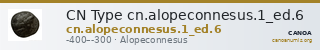 CN Type cn.alopeconnesus.1_ed.6 — CANOA