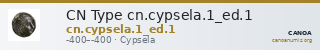 CN Type cn.cypsela.1_ed.1 — CANOA