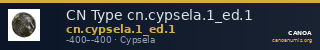 CN Type cn.cypsela.1_ed.1 — CANOA
