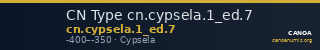 CN Type cn.cypsela.1_ed.7 — CANOA