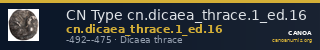 CN Type cn.dicaea_thrace.1_ed.16 — CANOA