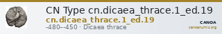 CN Type cn.dicaea_thrace.1_ed.19 — CANOA