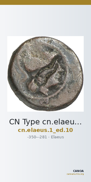 CN Type cn.elaeus.1_ed.10 — CANOA