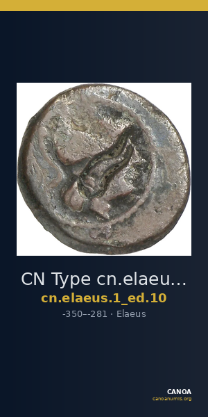 CN Type cn.elaeus.1_ed.10 — CANOA