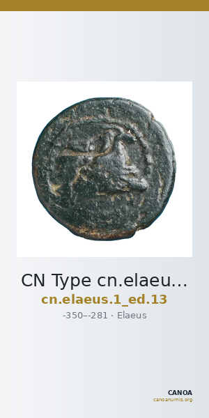 CN Type cn.elaeus.1_ed.13 — CANOA