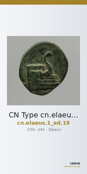 CN Type cn.elaeus.1_ed.19 — CANOA