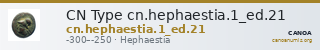 CN Type cn.hephaestia.1_ed.21 — CANOA