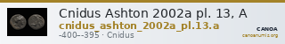 Cnidus Ashton 2002a pl. 13, A — CANOA