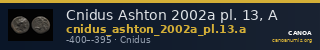Cnidus Ashton 2002a pl. 13, A — CANOA