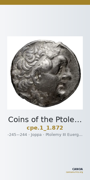 Coins of the Ptolemaic Empire Vol. I, Part 1, no. 872 — CANOA